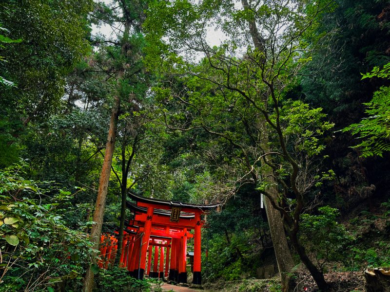 Fushimi Inari 4