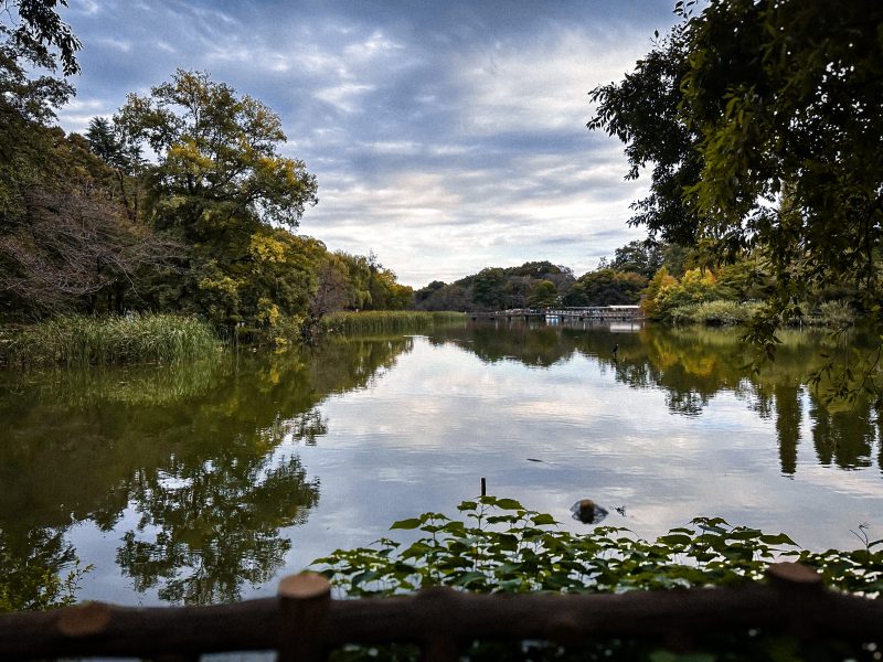 Inokashira Park